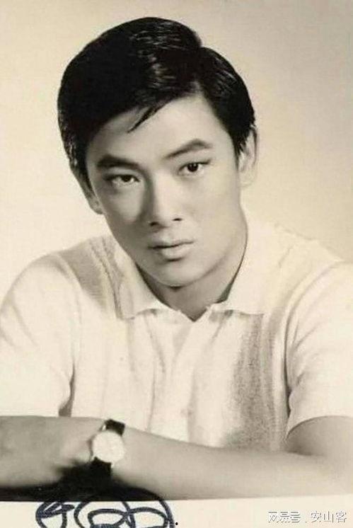 台湾演员王羽,台湾影坛的传奇硬汉